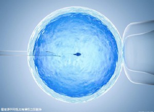 有偿试管代妈机构