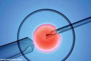 陈教授